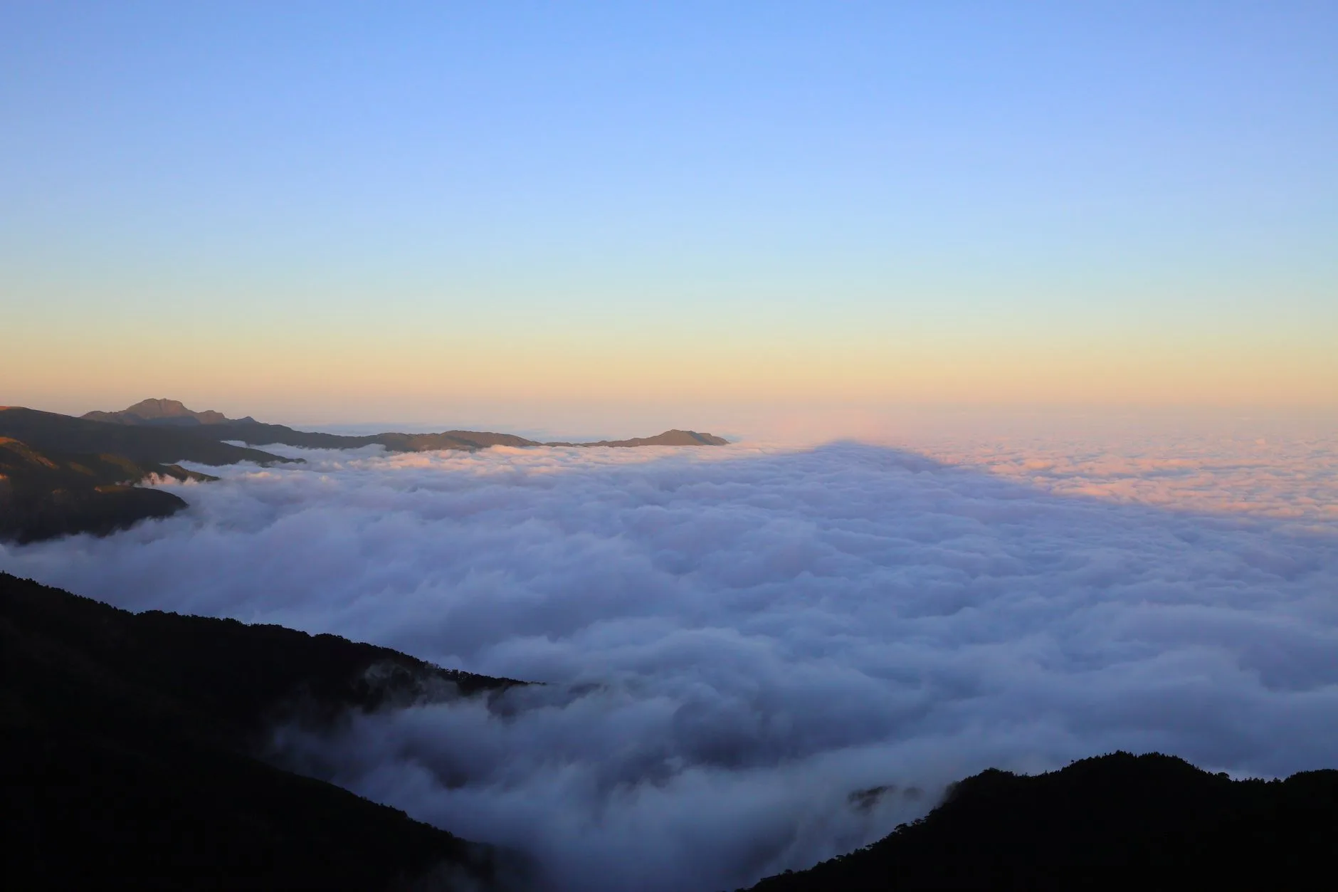 Alishan : la forêt sacrée et le lever de soleil mythique